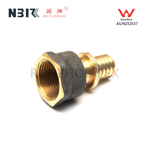OEM/ODM China Cheap Elbow Brass Sliding Fitting For Pex Pipe -
 Female Straight connector-01 – RZPEX